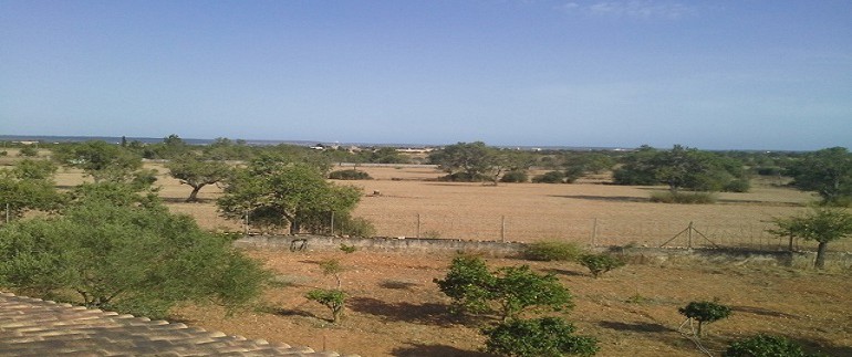 20140701_183438 (640x480)
