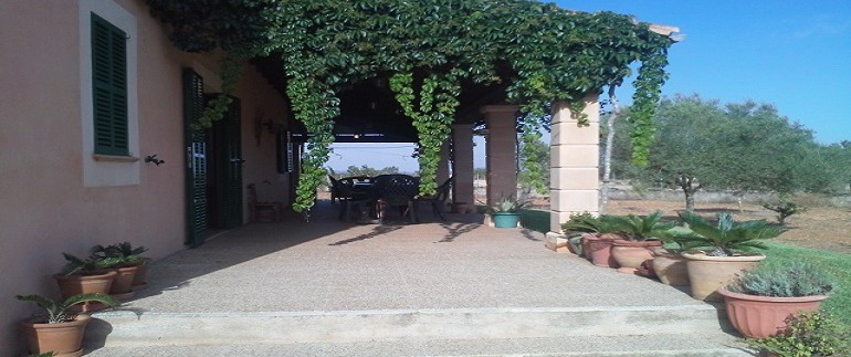 20140701_184559 (640x480)