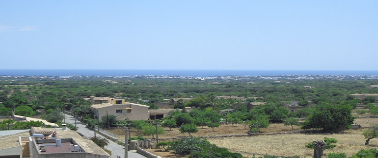 CIMG4389