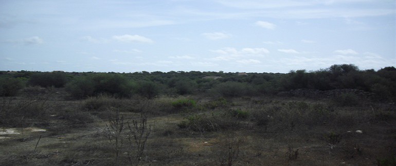 CIMG4851