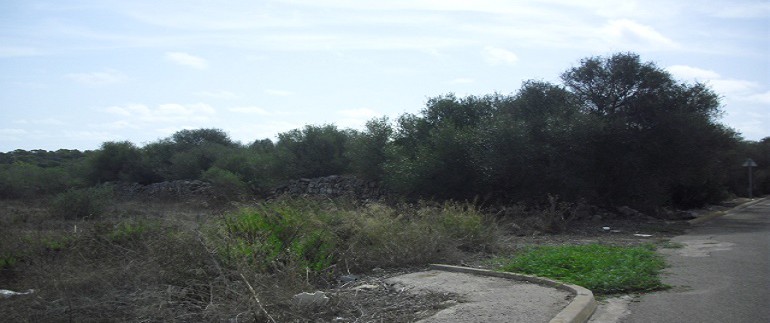 CIMG4853