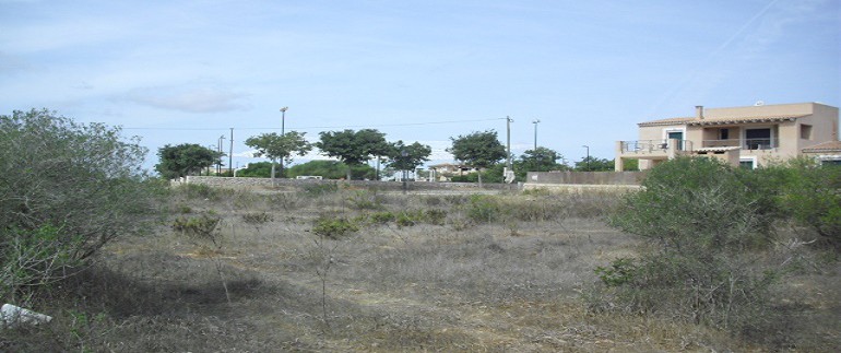 CIMG4861