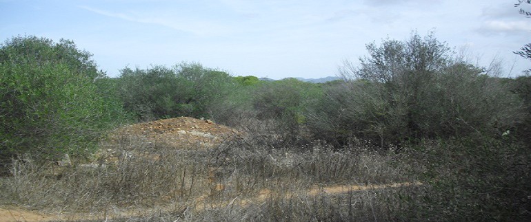 CIMG4866