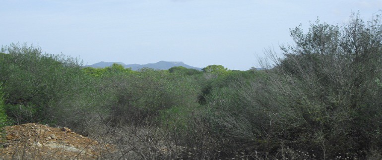 CIMG4874