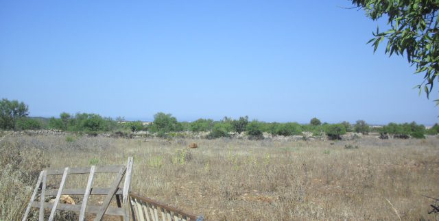 CIMG4067