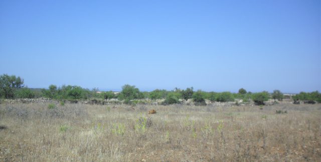CIMG4069