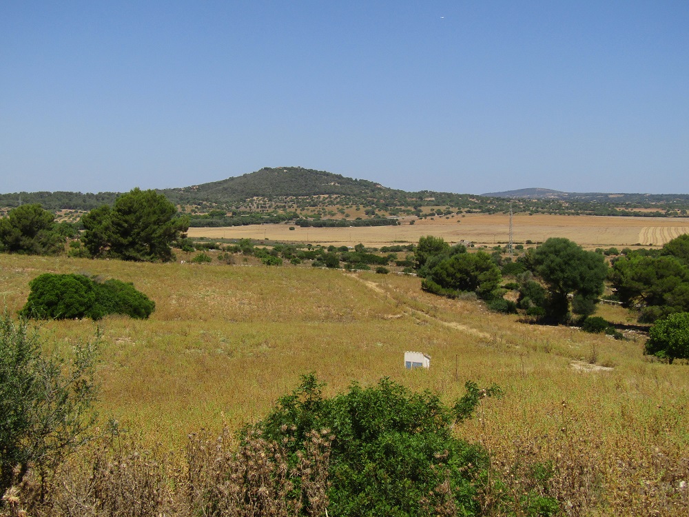 9 country plots in Levant, Mallorca