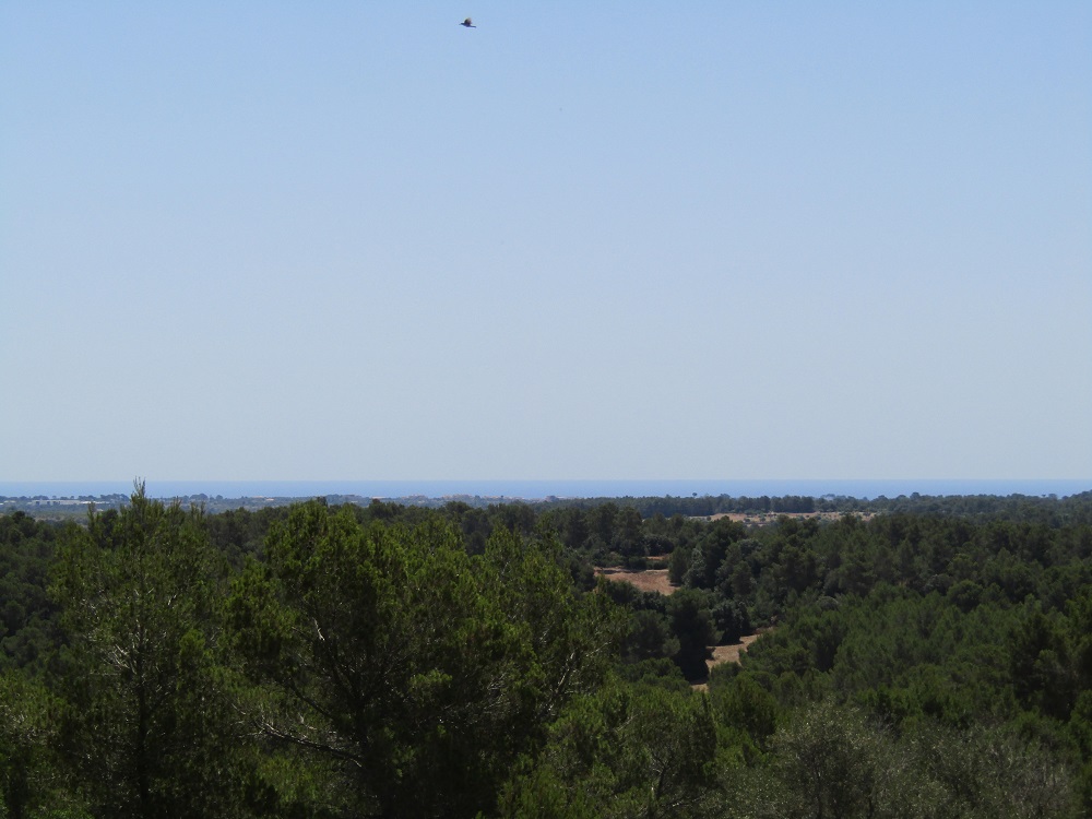 7 Country Plots with Sea Views in Levant, Mallorca