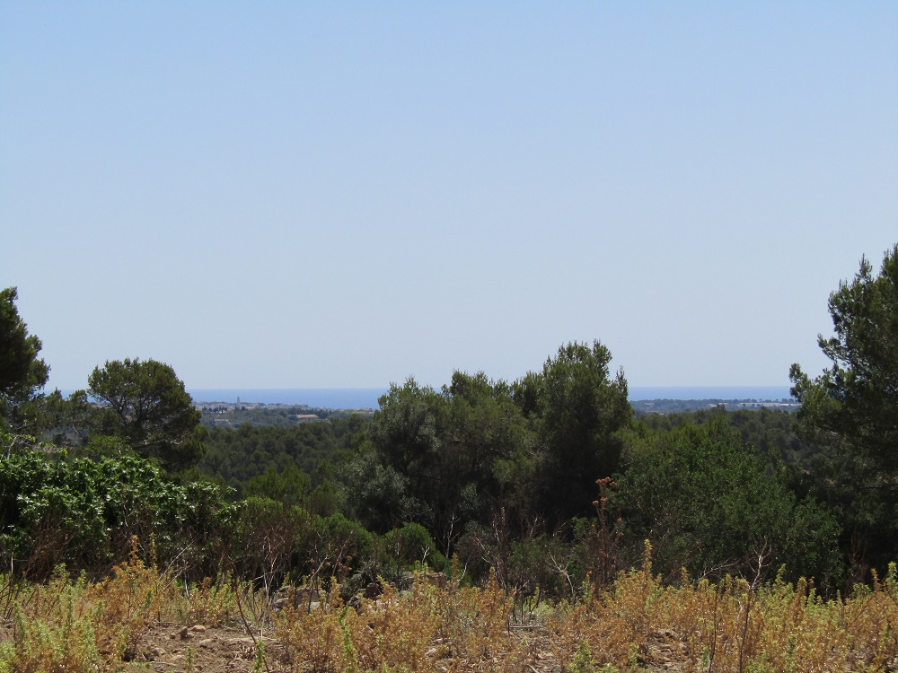 7 country plots with sea views, Manacor