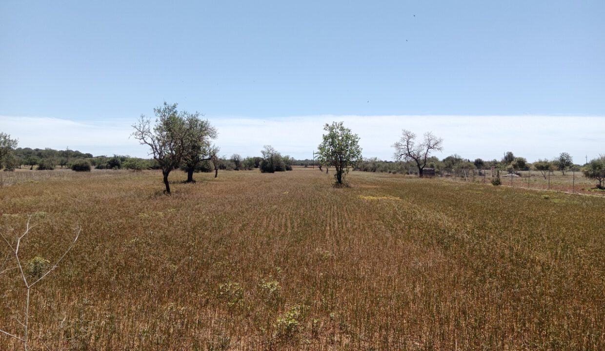 IMG_20240505_125521