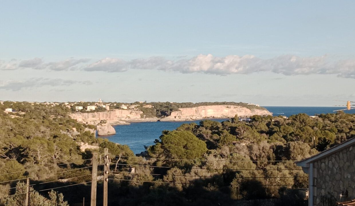 WhatsApp Image 2025-12-17 at 16.29.03 (1)